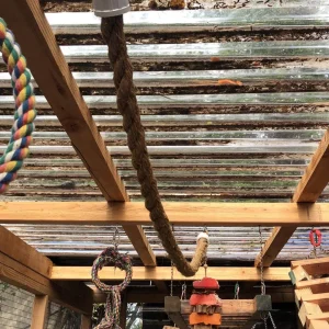 Trapeze perches for Birds