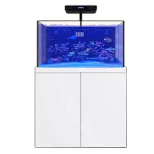 100 Gallon Aquarium Coral Reef Fish Tank Complete Set including one Coral light & one Protein Skimmer