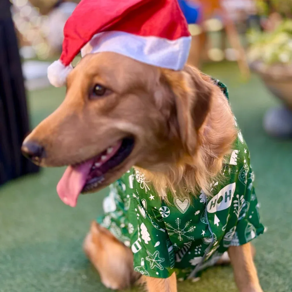 15 Furries Winter Wonderland Shirt for Dogs