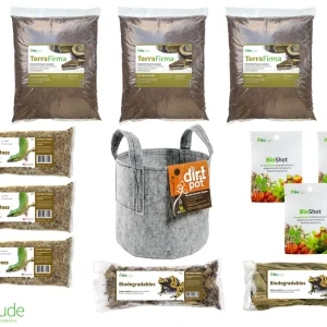 24" x 24" (screen cage base) Terra Firma Bioactive Kit