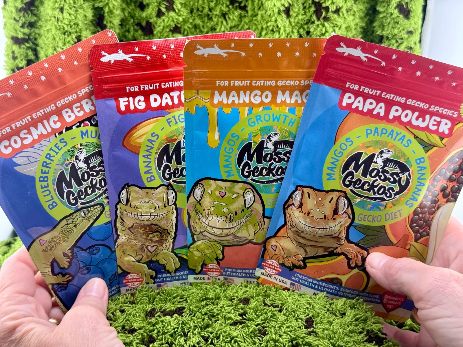 4 Pack of Gecko Diets - Image 2