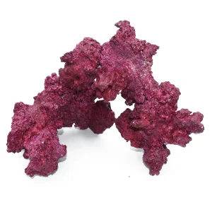 (4 Pack) Real Reef Arches Box - Real Reef