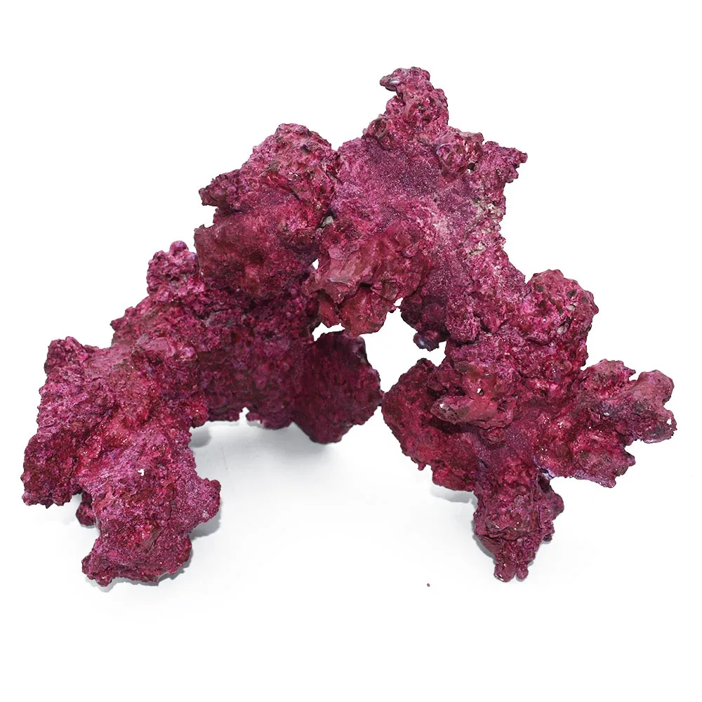 (4 Pack) Real Reef Arches Box - Real Reef