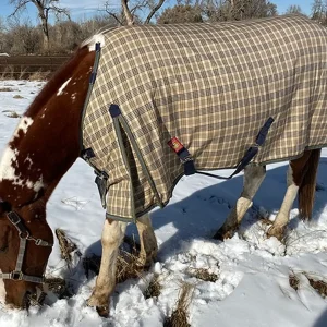 5/A Baker® Extreme 555 Gram Turnout Blanket