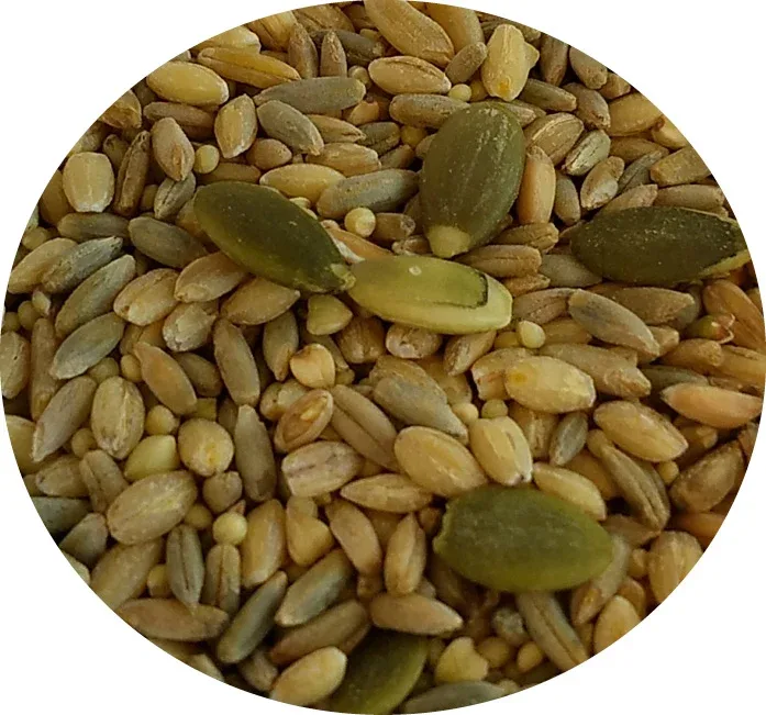 5 lb. All in One Seed Two-Pack (includes shipping) - Image 2