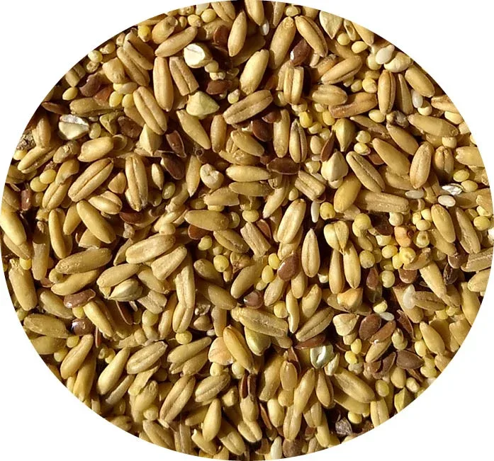 5 lb. Napoleon Seed Two-Pack (includes shipping) - Image 2