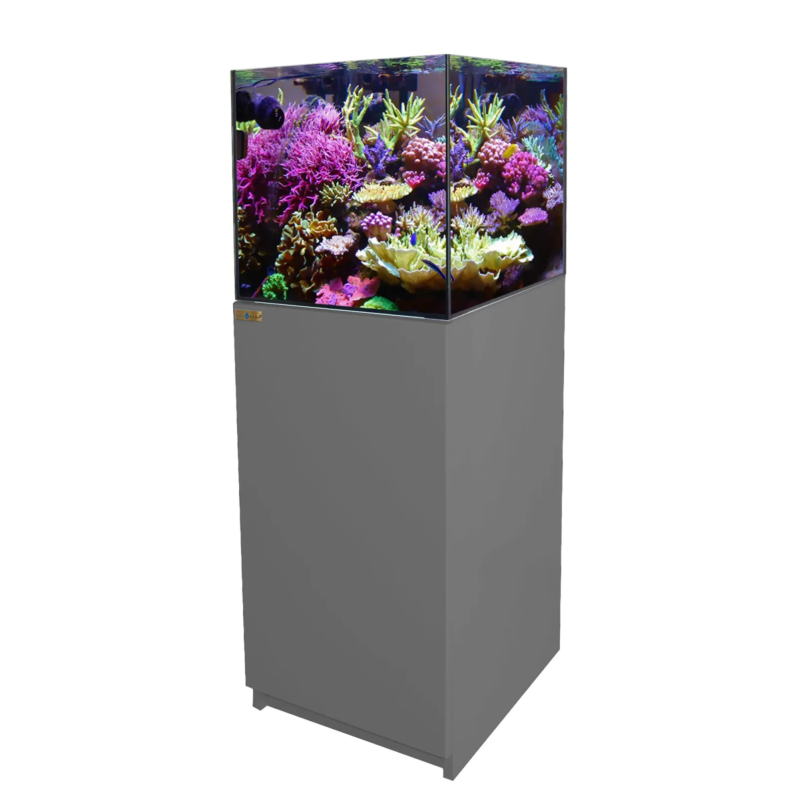 50 Gallon Coral Reef Aquarium Ultra Clear Glass Tank & Built in Sump Silver