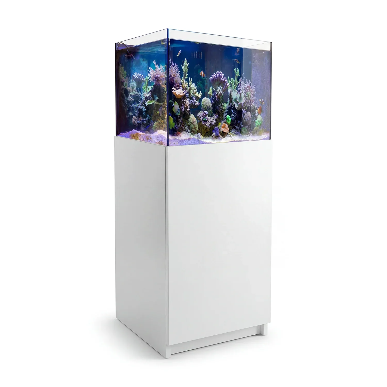 50 Gallon Reef Tank Aquarium Ultra Clear Glass & Built in Sump All White