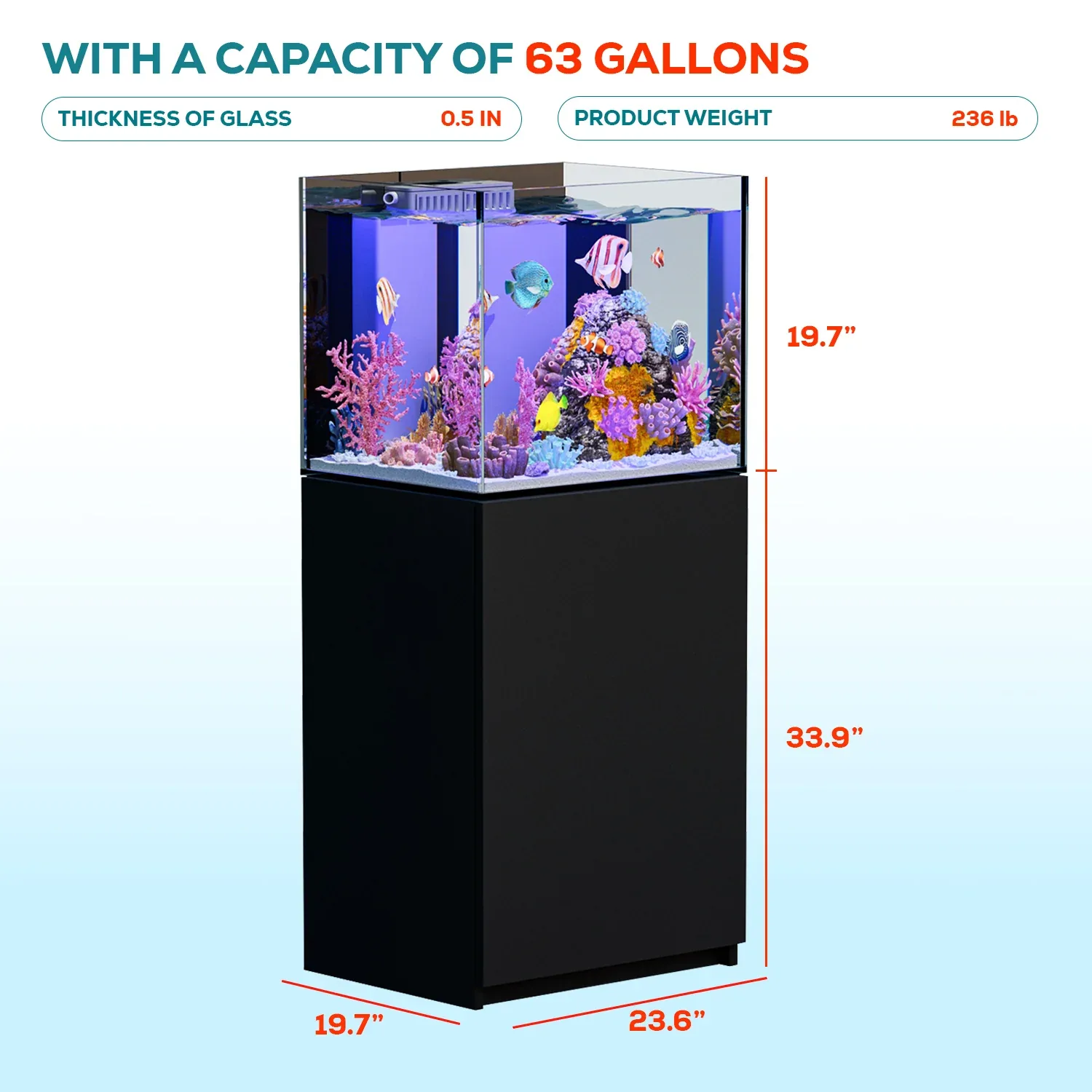 63 Gallon All-in-One Reef Aquarium | Ultra-Clear Low-Iron Glass Tank with Built-in Sump Filter System – All Black Rimless Design, 40 Gal Tank + 23 Gal Sump, Complete Plumbing Included - Image 2