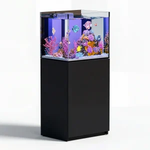 63 Gallon All-in-One Reef Aquarium | Ultra-Clear Low-Iron Glass Tank with Built-in Sump Filter System – All Black Rimless Design, 40 Gal Tank + 23 Gal Sump, Complete Plumbing Included