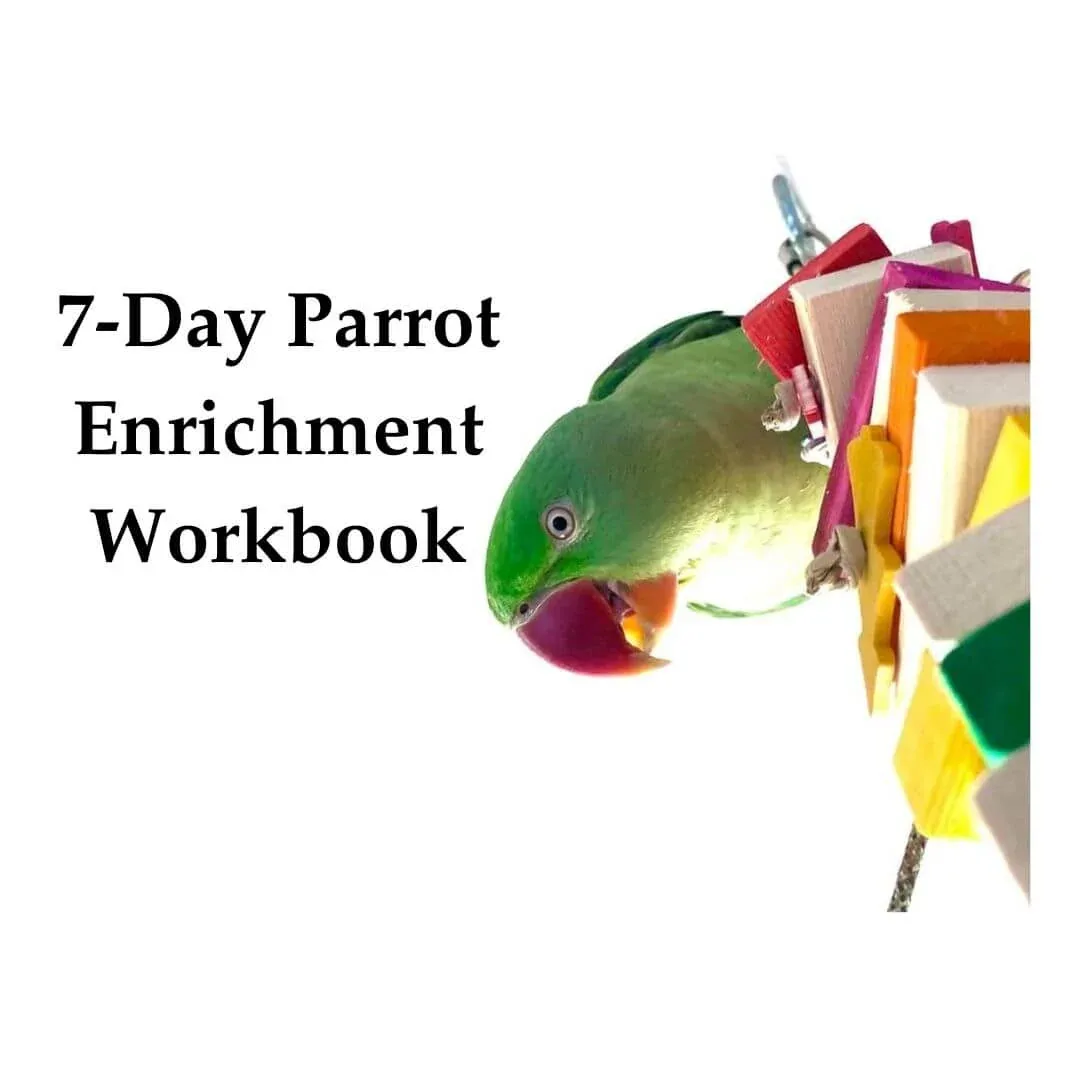 7-Day Bird Enrichment Workbook (Printable PDF)