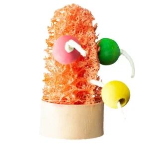 A & E Cages Nibbles Succulent Small Animal Chew One Size