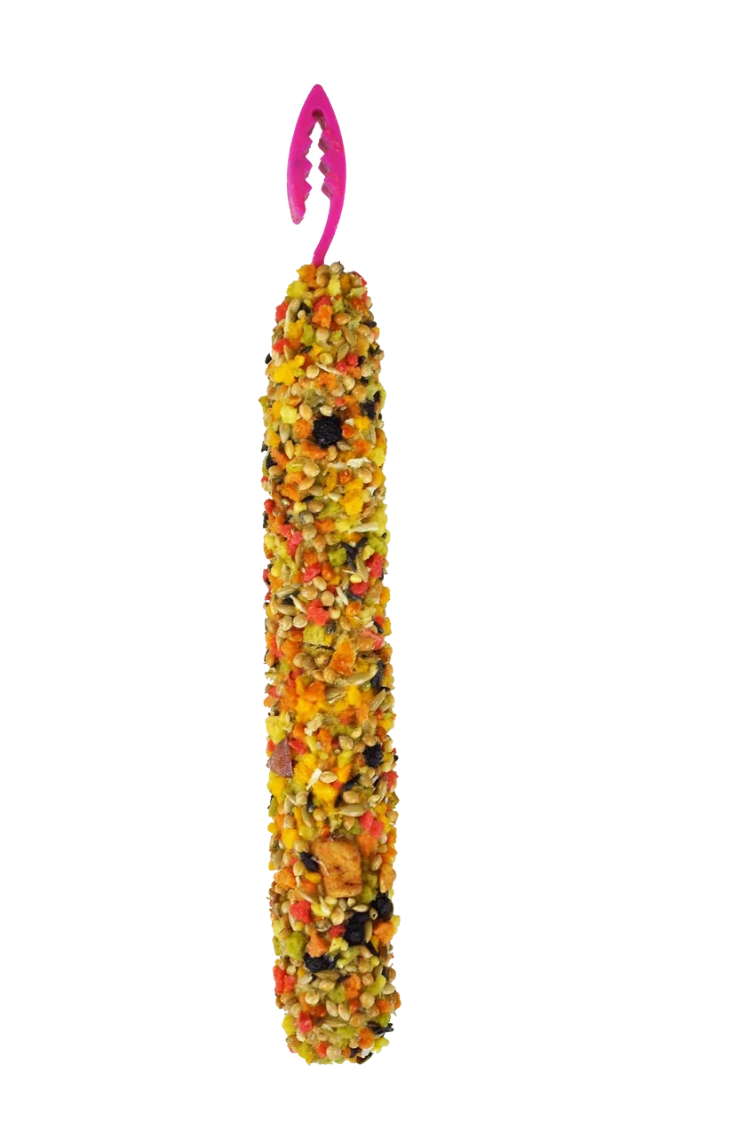 A & E Cages Smakers Snack Fruit Treat Sticks for Zebra Finch Birds 2.12 oz 2 Count