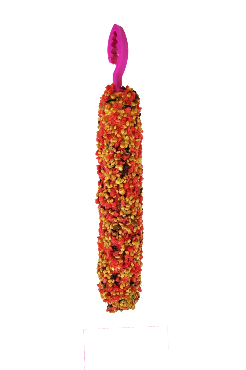 A & E Cages Smakers Snack Strawberry Treat Stick for Parakeets 3.17 oz 2 Count