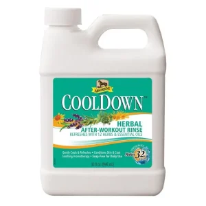 Absorbine CoolDown After-Workout Rinse