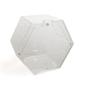 Acrylic Enclosure Hexagon (Medium)