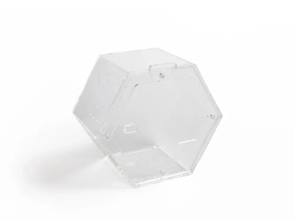 Acrylic Enclosure Hexagon (Small)