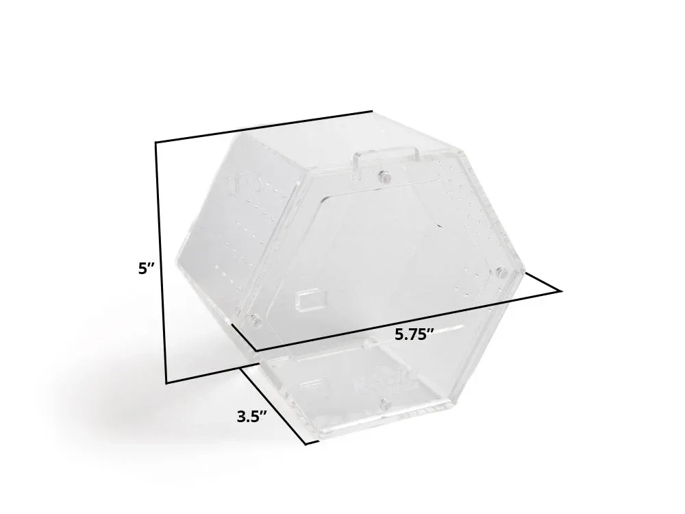 Acrylic Enclosure Hexagon (Small) - Image 2