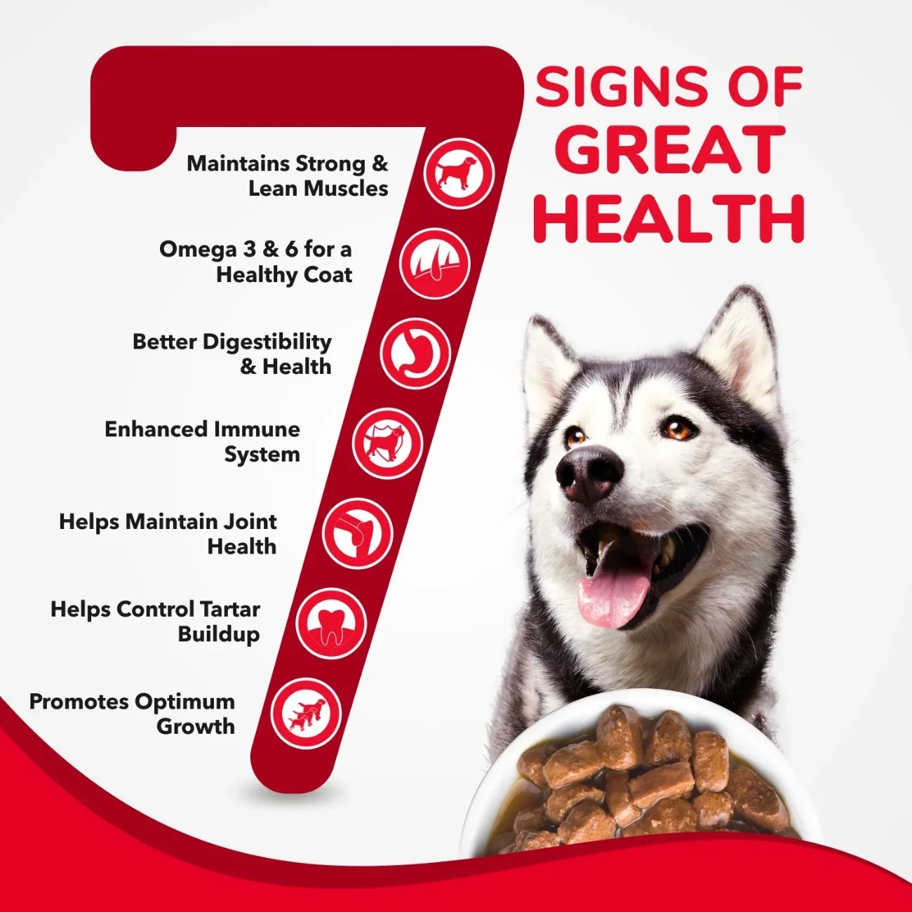Active Real Chicken & Chicken Liver Chunks in Gravy Adult Dog Wet Food (Buy 1 Get 1) - Image 2