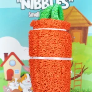 AE Cage Company Nibbles Carrot Loofah Chew Toy Large 1 count