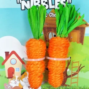 AE Cage Company Nibbles Carrot Loofah Chew Toys with Jute
