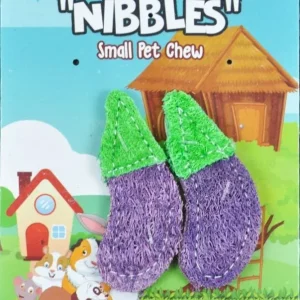AE Cage Company Nibbles Eggplant Loofah Chew Toys