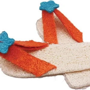 AE Cage Company Nibbles Flip Flops Loofah Chew Toy