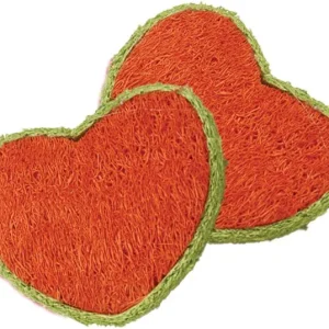 AE Cage Company Nibbles Hearts Loofah Chew Toys