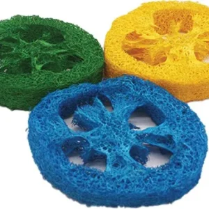 AE Cage Company Nibbles Loofah Slice Chew