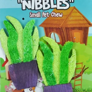 AE Cage Company Nibbles Potted Plants Loofah Chew Toy