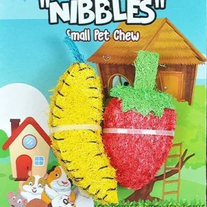 AE Cage Company Nibbles Strawberry and Banana Loofah Chew Toys