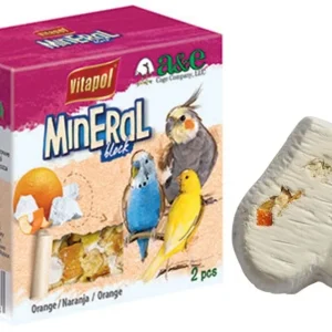 AE Cage Company Orange Infused Bird Mineral Block