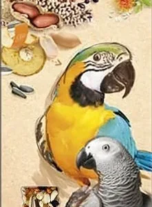 A&E Cage Company Smakers Parrot XXL Nut Treat Sticks