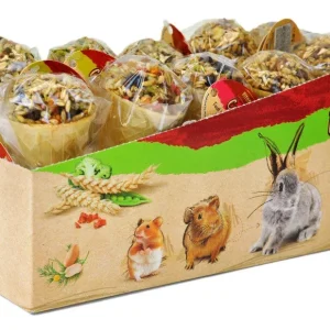 A&E Cages Small Animal Ice Cream Cone Treat Display 10 ct