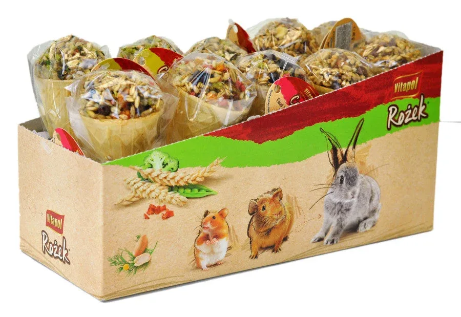 A&E Cages Small Animal Ice Cream Cone Treat Display 10 ct
