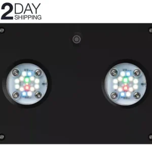 AI Hydra 32HD Freshwater Black