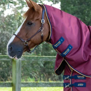 Akoni 0g Classic Neck Cover (0g Fill) Burgundy
