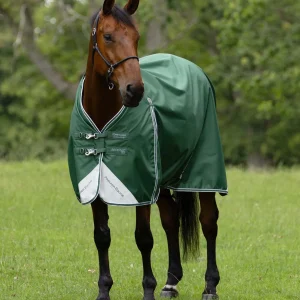 Akoni 0g Original Turnout Rug Green