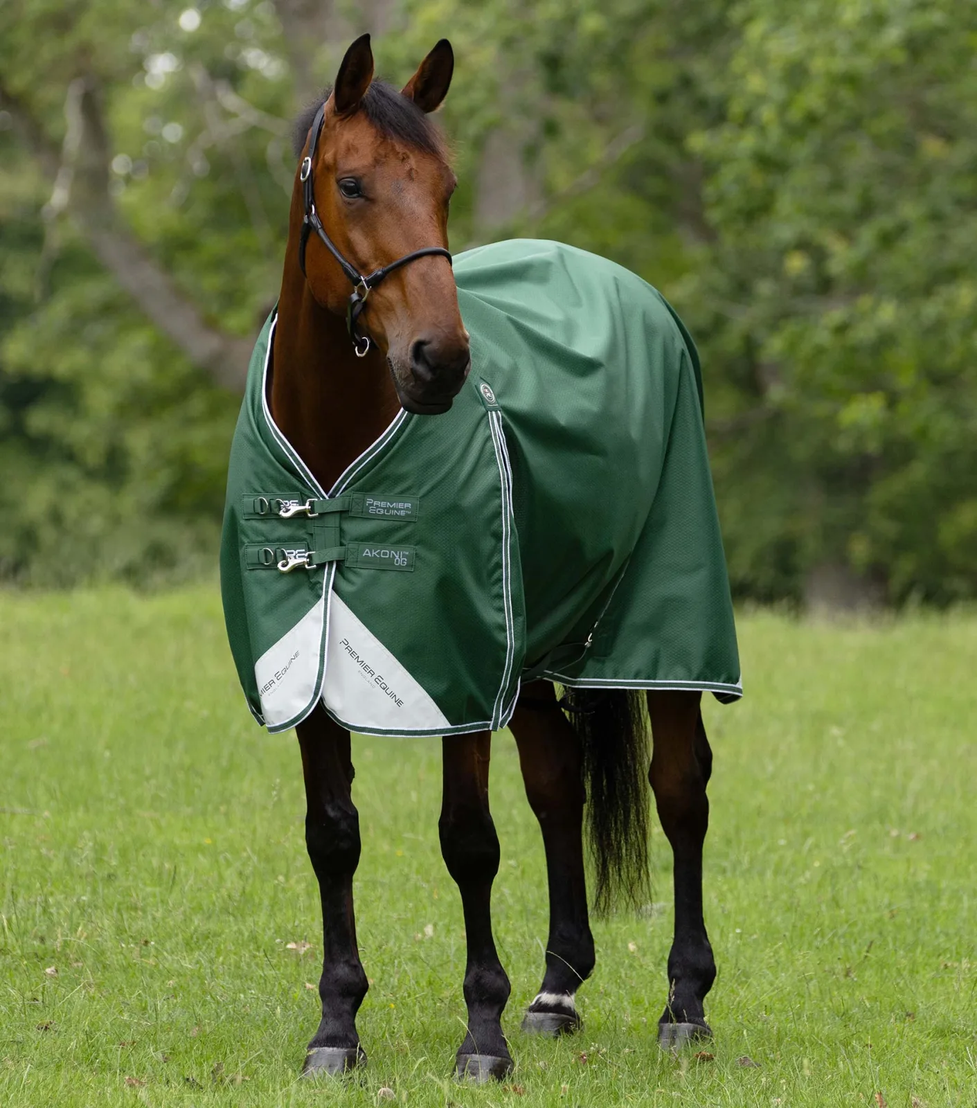 Akoni 0g Original Turnout Rug Green