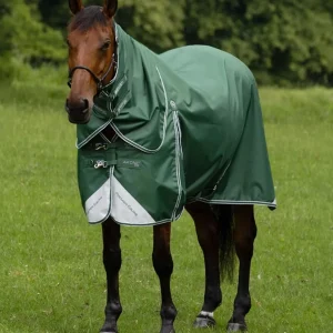 Akoni 0g Turnout Rug with Classic Neck Cover Green