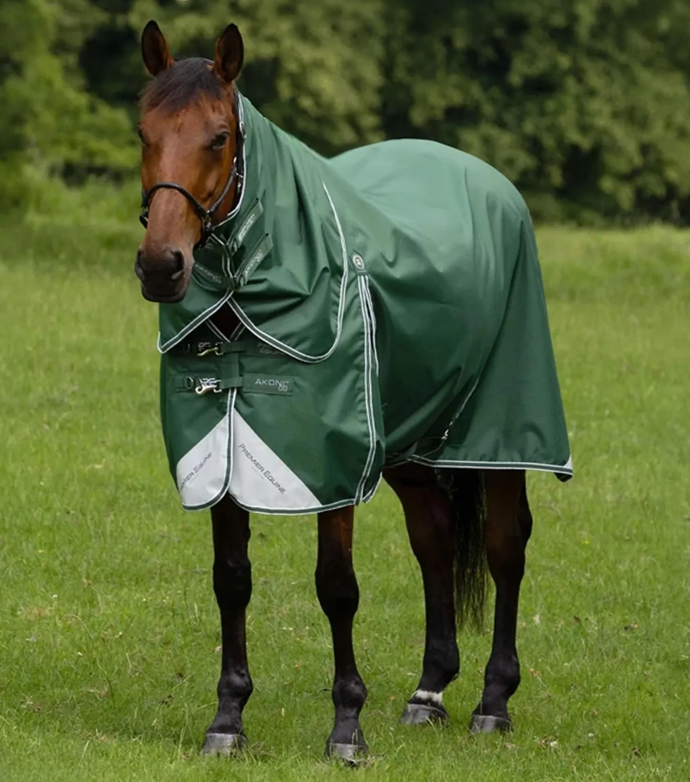 Akoni 0g Turnout Rug with Classic Neck Cover Green