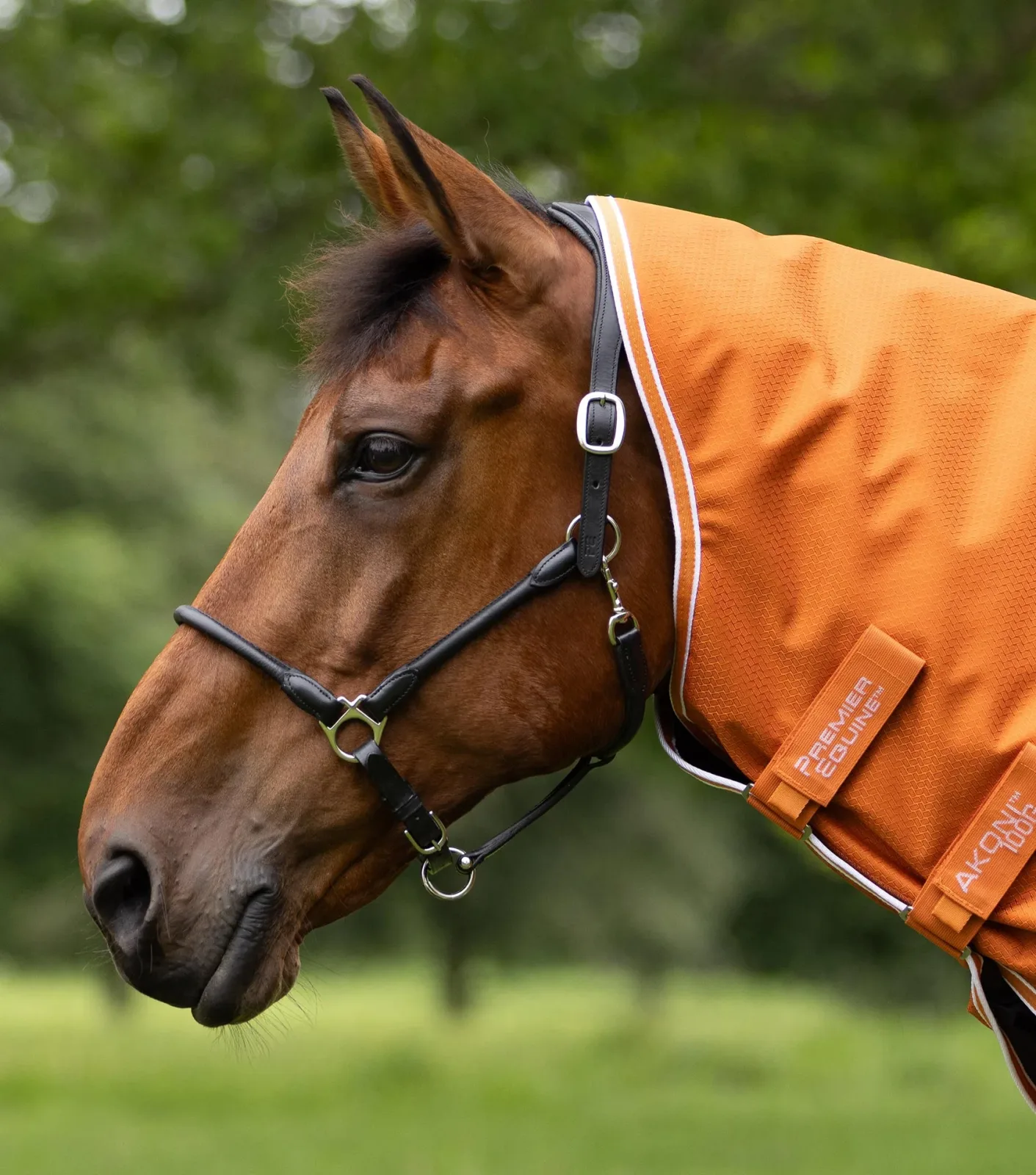 Akoni 100g Turnout Rug with Classic Neck Cover Burnt Orange - Image 2