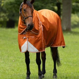 Akoni 100g Turnout Rug with Classic Neck Cover Burnt Orange