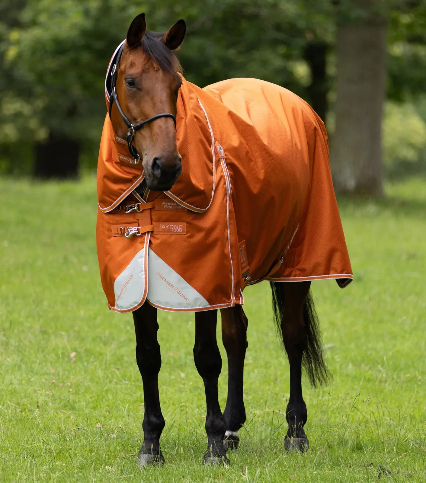 Akoni 100g Turnout Rug with Classic Neck Cover Burnt Orange