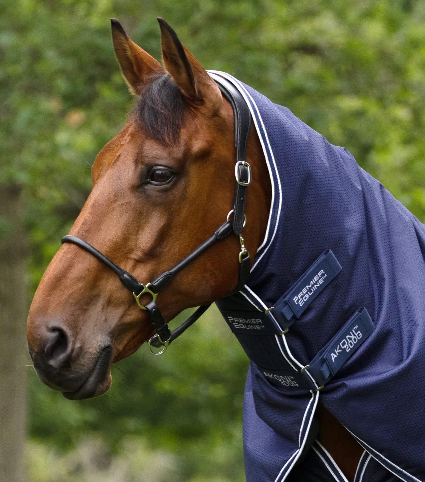 Akoni 200g Turnout Rug with Classic Neck Cover Navy - Image 2
