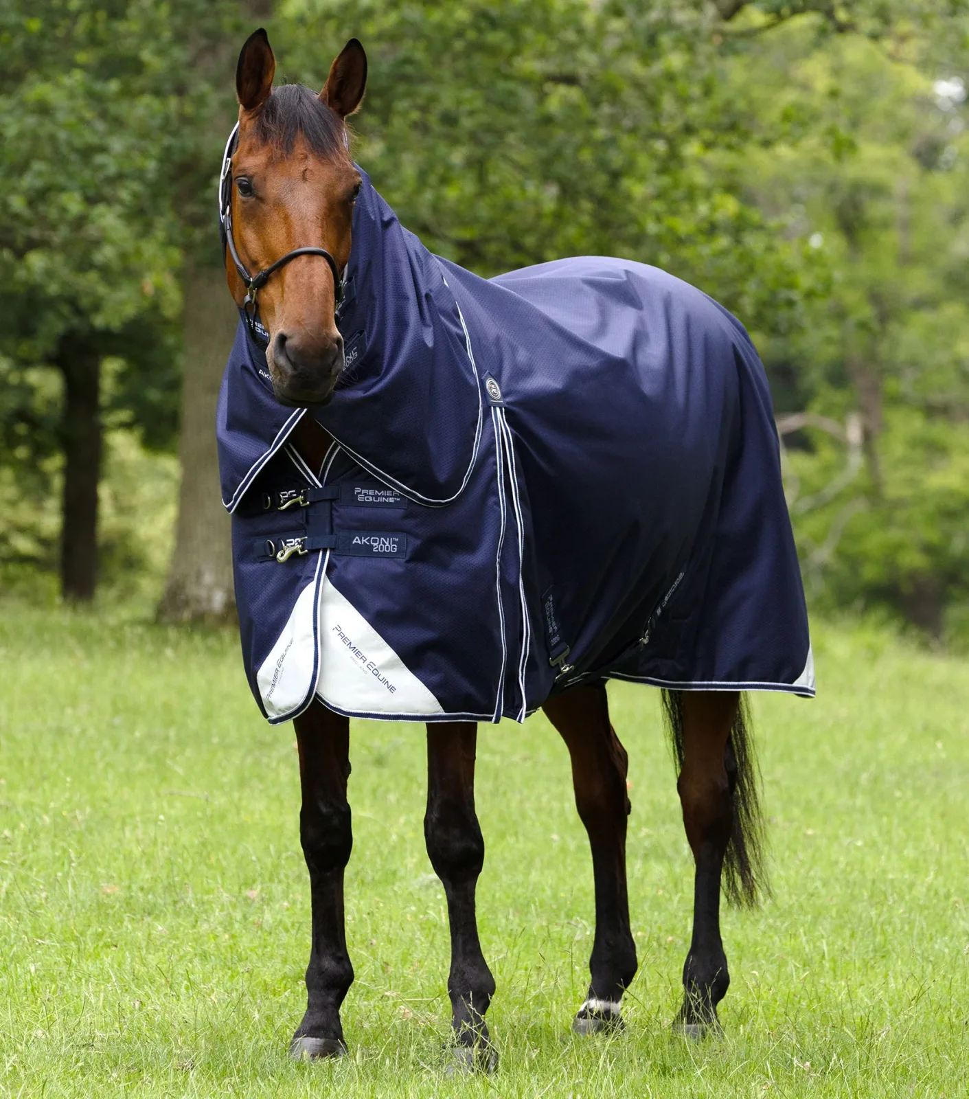 Akoni 200g Turnout Rug with Classic Neck Cover Navy