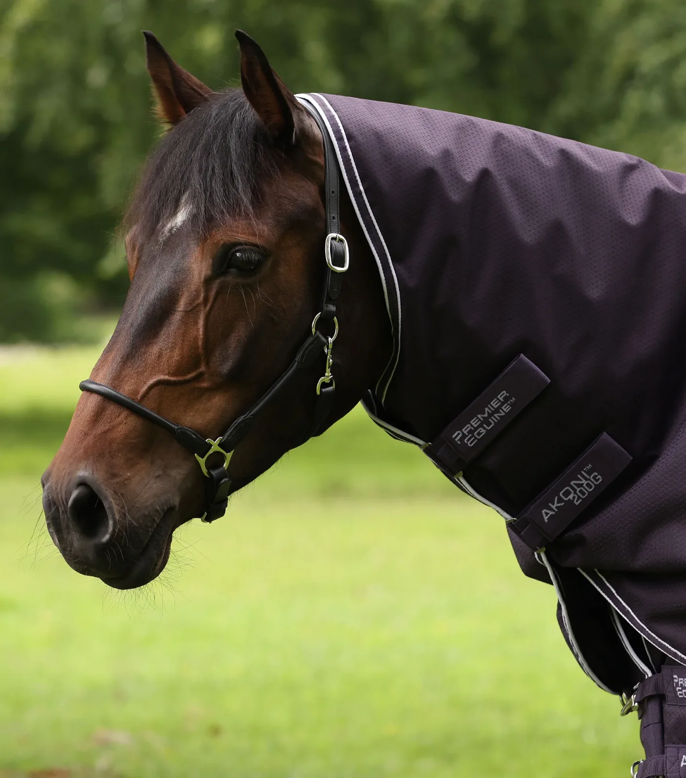 Akoni 200g Turnout Rug with Classic Neck Cover Purple - Image 2