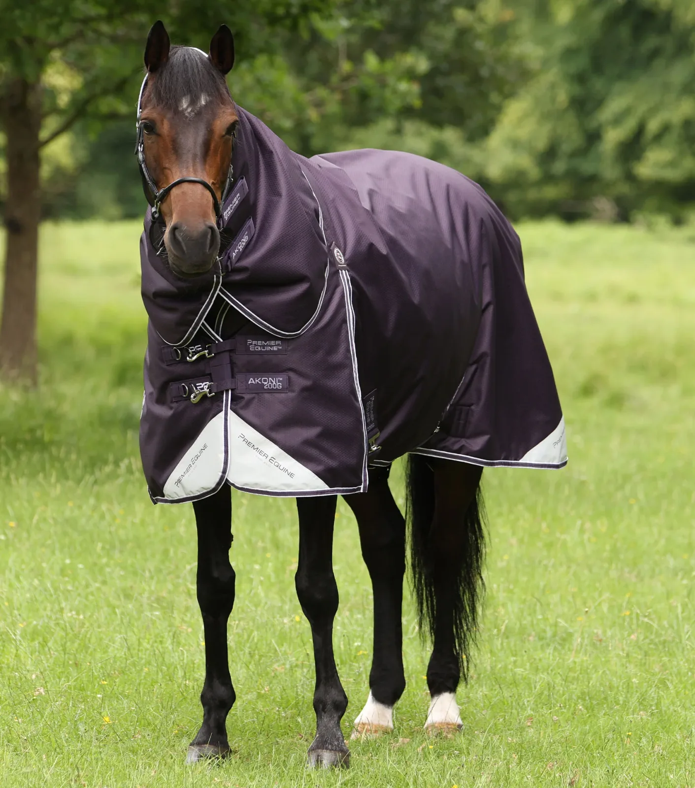 Akoni 200g Turnout Rug with Classic Neck Cover Purple