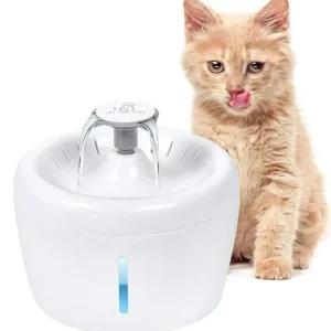 All Fur You Whisper Water Fountain