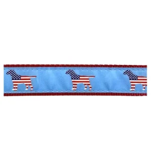 American Dog